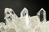 Clear Quartz Crystal Cluster - Arkansas #316945-1